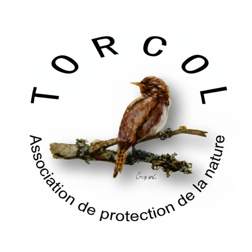 Association TORCOL